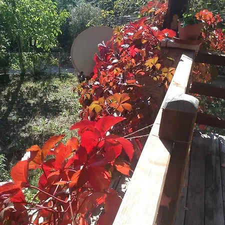 Vargiani Stone Retreat With Fireplace & View Σπίτι διακοπών
