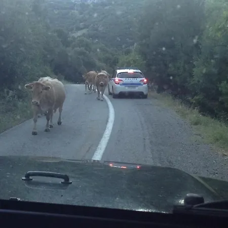 Σπίτι διακοπών Vargiani Stone Retreat With Fireplace & View Γραβιά