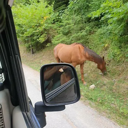 Σπίτι διακοπών Vargiani Stone Retreat With Fireplace & View Γραβιά