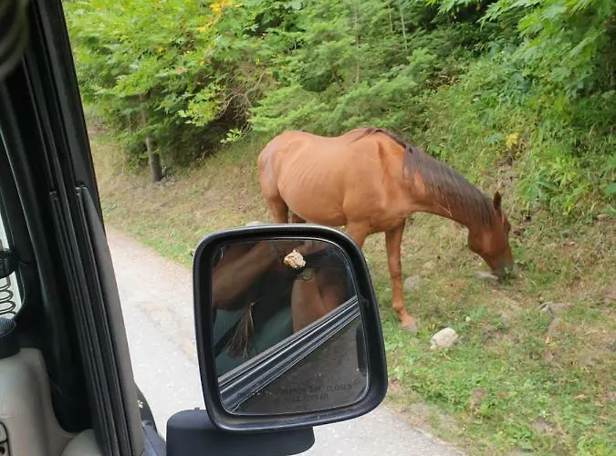 Holiday home Vargiani Stone Retreat With Fireplace & View Gravia (Amfikleia-Elateia)